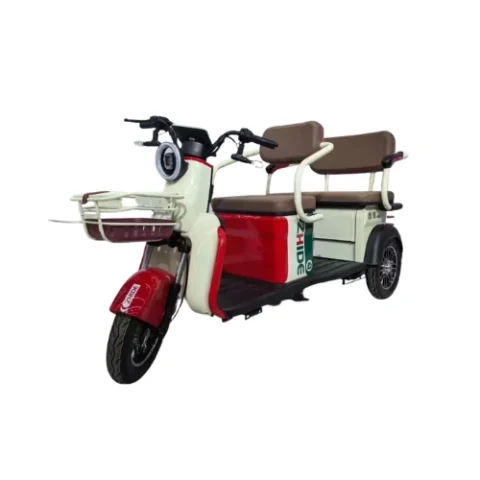 3 Wheel 500W Tricycle Adult Electric Mobility Scooter